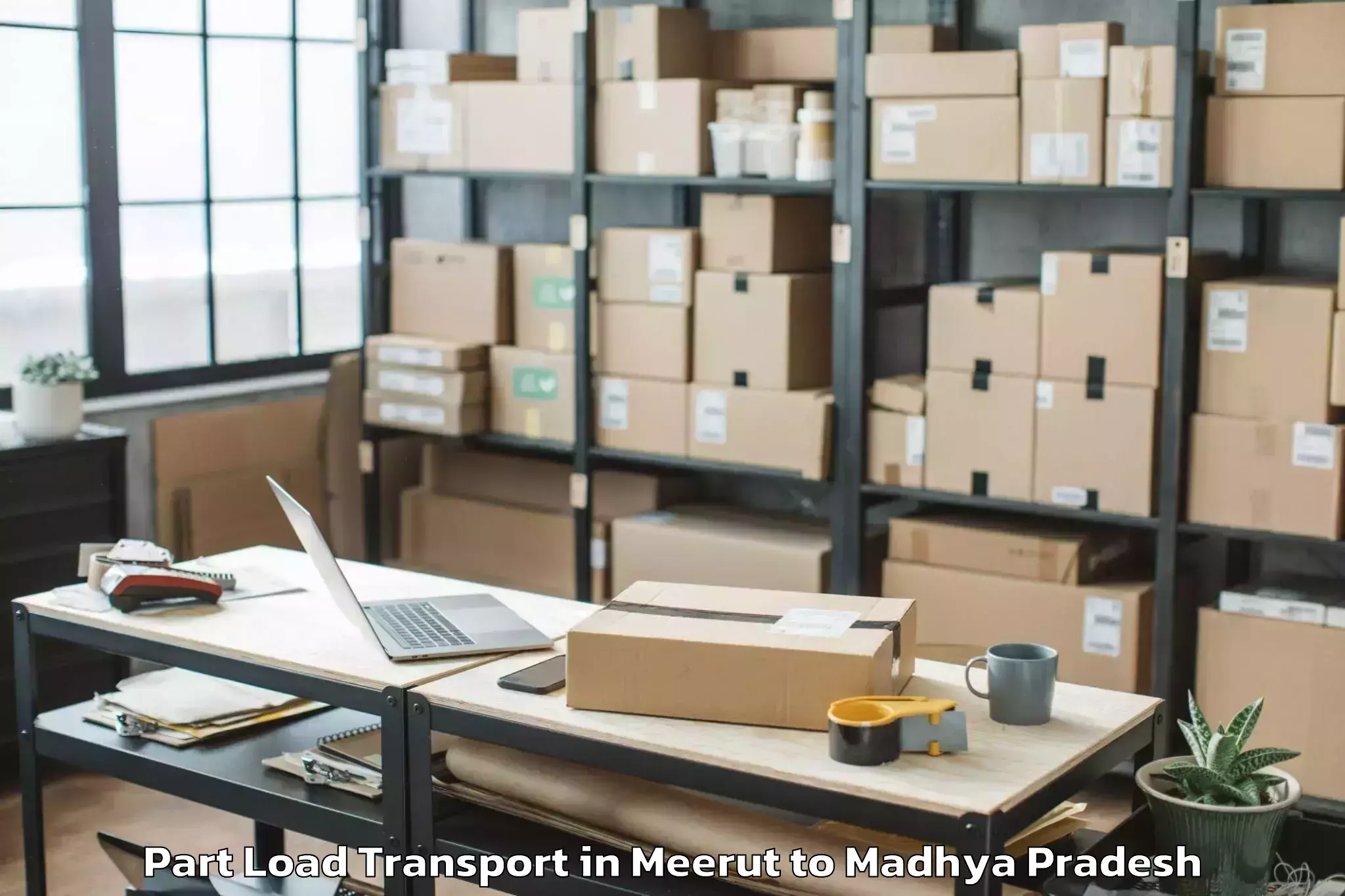 Easy Meerut to Gautampura Part Load Transport Booking